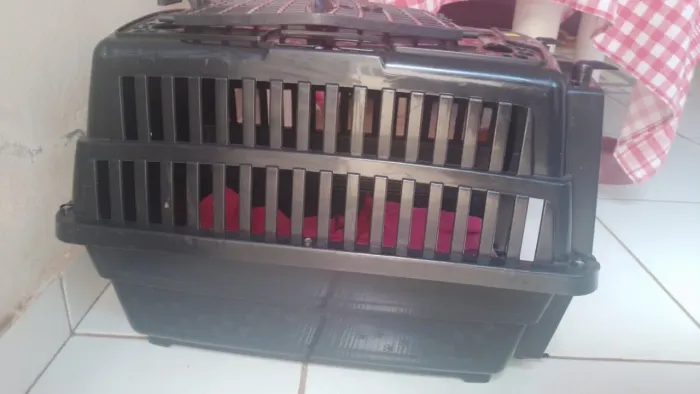 Caixa transporte de pets