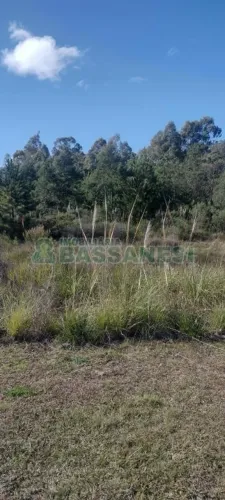 Terreno Industrial Farroupilha