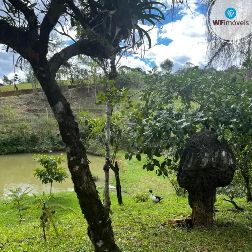 Lindo Sítio com 3 dormitórios disponível para venda.