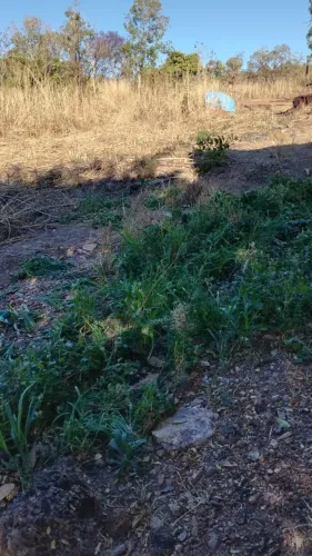 Vendo Terreno quitado e bem localizado em Natividade-TO