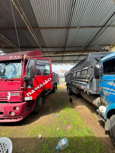 Carga de serragem maravalha
