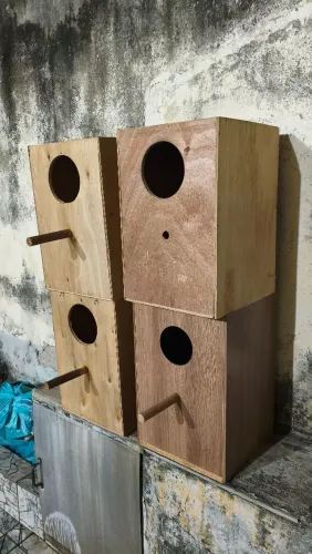 Ninhos para Ring Neck
