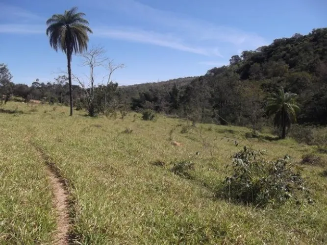 Fazenda sem sede de 82ha,nascente e córrego nos fundos,Jaboticatubas(Temos varias opções)