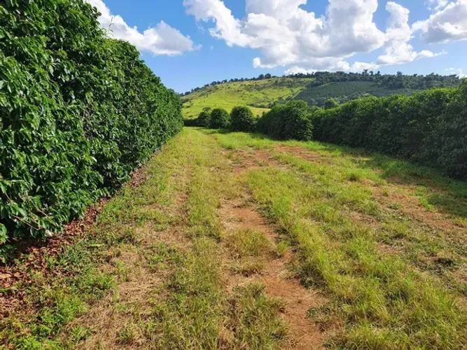 Fazenda 750 hectares para produção de Café em Perdões MG
