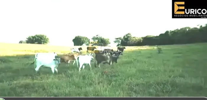 Fazenda à venda no Bairro do Aterrado em São Sebastião do Rio Verde/MG