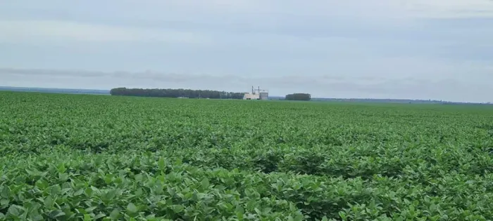 Fazenda 4.730 Hect, nova Ubiratan MT. R$: 2.970.000 sacas de soja em 8 anos