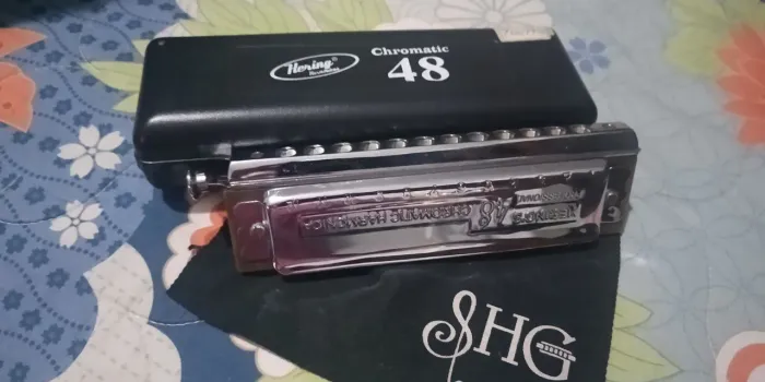 Gaita Hering Cromática 48 profissional
