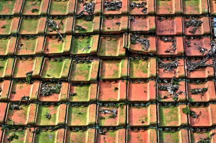 Inspeção de Telhados com Drone