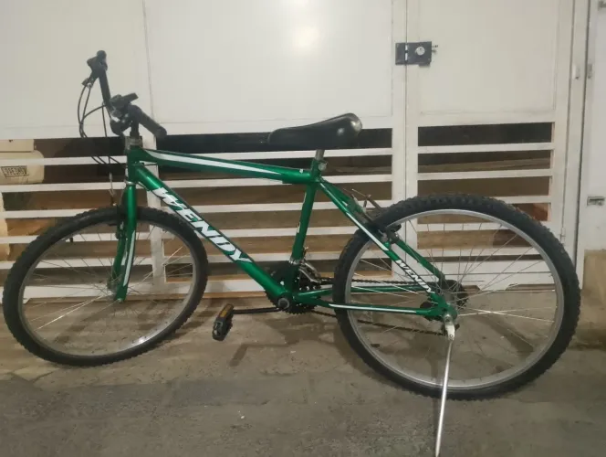 Bicicleta Wendy Verde de Passeio | Apenas Retirada em Cachoeiro de Itapemirim