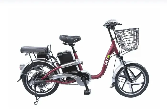E BIKE LEV