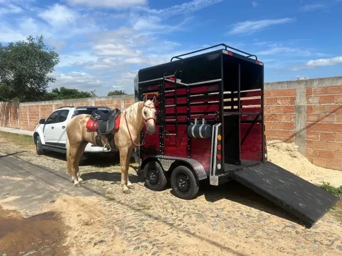 Carretinha para 2 cavalos 