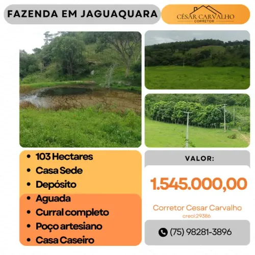 FAZENDA EM JAGUAQUARA - 103 HECTARES