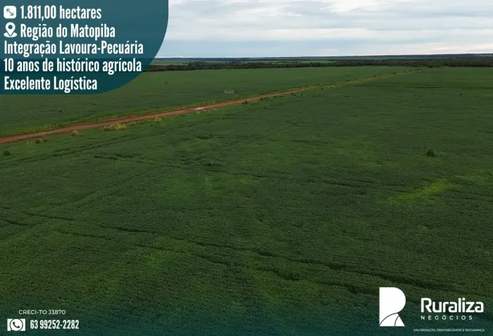 FAZENDA DUPLA APTIDÃO À VENDA | REGIÃO DO MATOPIBA