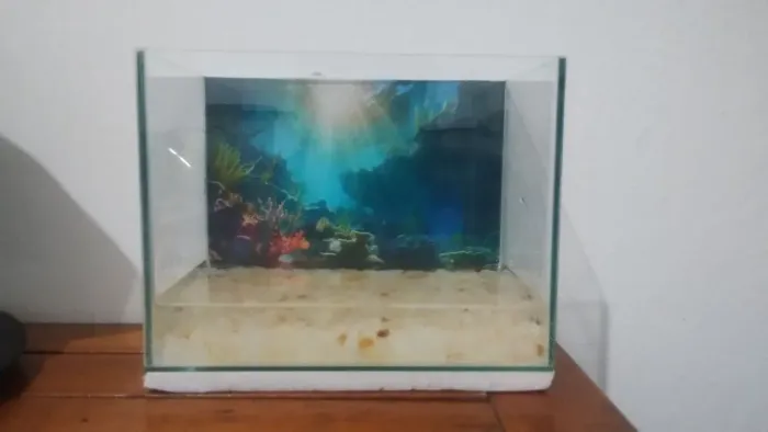 Aquário