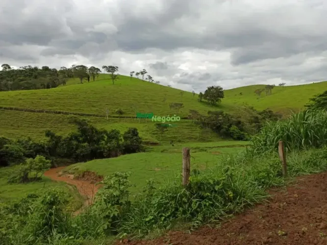 Sítio com pasto formado e sem benfeitorias em Lorena-SP
