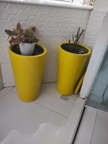 Vaso plantas