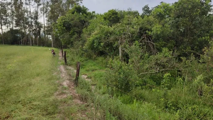 Sitio 10.70 alqueires em Santa Cruz de Monte Castelo