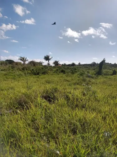 PRAIA DE PANAQUATIRA: Terreno a venda de 6.000 m2 Grande Ilha de São Luís