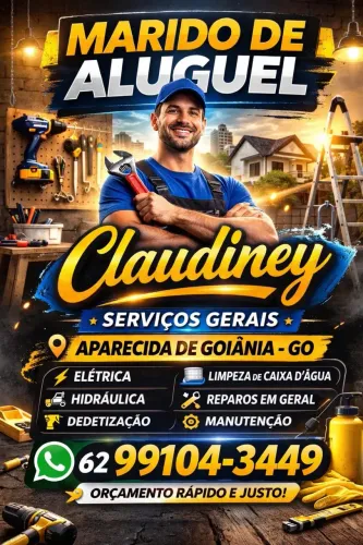 Marido de aluguel