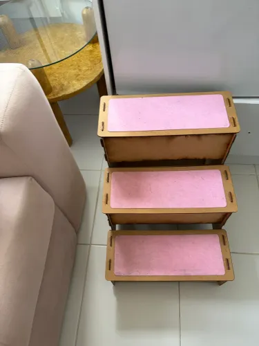 Escada pra dog