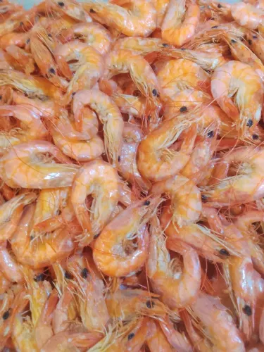 Camarão seco torado para toda hora , oferta