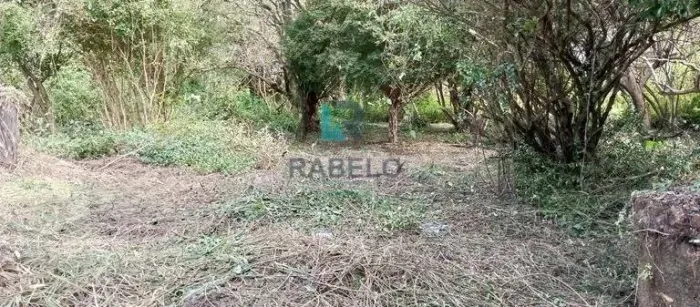 TERRENO PLANO NO CENTRO DE LORENA-SP
