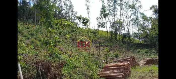 Terreno à venda, 50000 m² por R$ 165.000,00 - Zona Rural - São Luiz do Paraitinga/SP