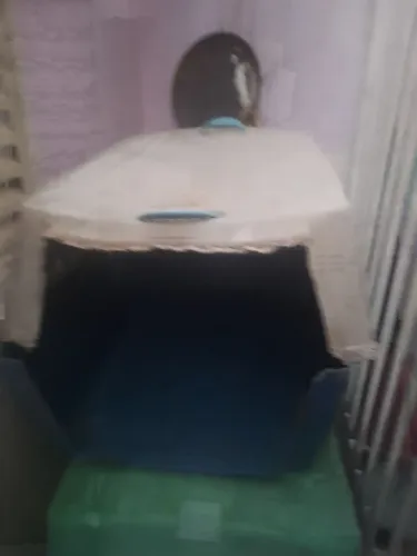Doação de casinha de cachorro 