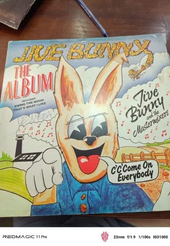 LP Vinil Jive Bunny