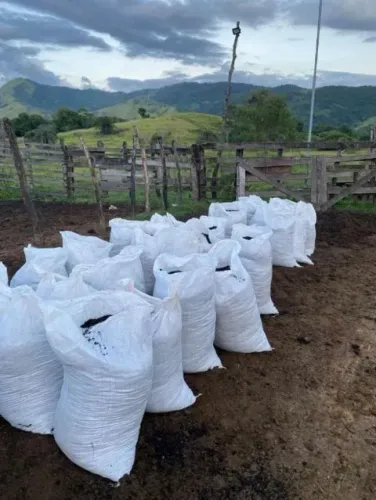 Esterco de Gado