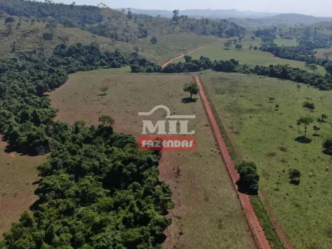 Fazenda de 120 alqueires (580 hectares) em Itapaci-GO.