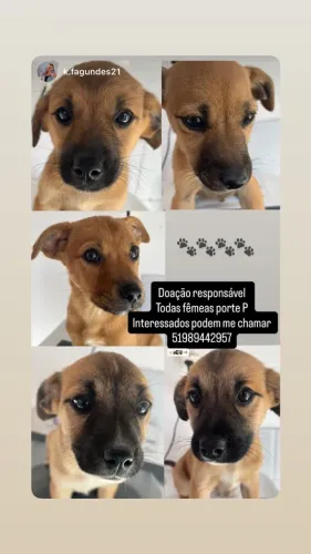 Doação
