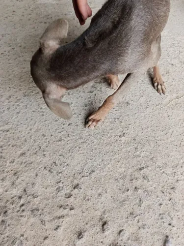 Doação