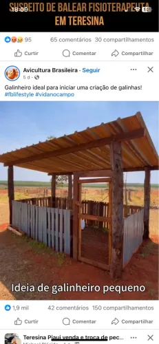 Ovelhas, cabras e bode a venda