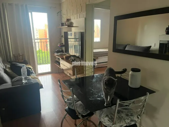 Apartamento aconchegante à venda no Jardim Parque Morumbi, São Paulo, com 2 dormitórios, s