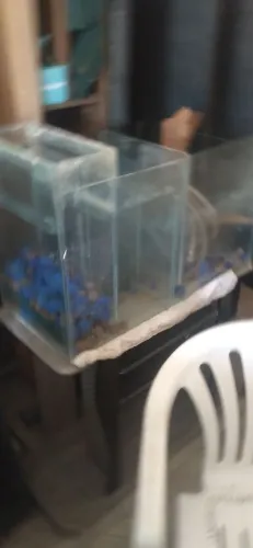Aquário perfeito com acessórios