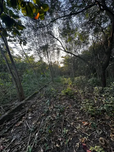 Área a venda na Zona Oeste -53.000 m² Estrada de Sepetiba Santa Cruz/RJ