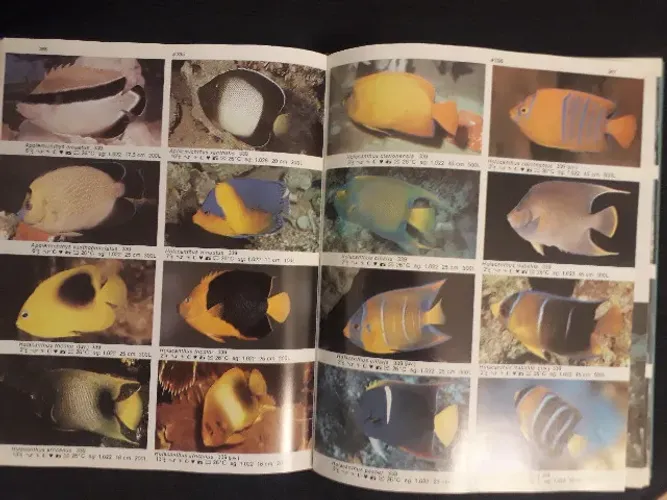 Atlâs de Peixes Marinhos - Capa Dura - 400 Paginas - Importado