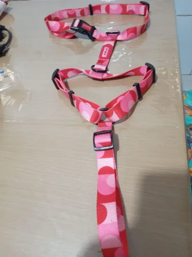 Coleira Spinke para cão médio 