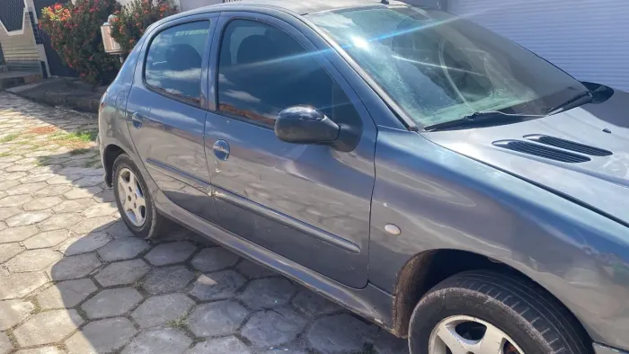Peugeot 206 Feline 1.4/ 1.4 Flex 8V 5P 2004