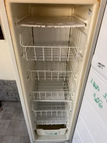 Freezer vertical