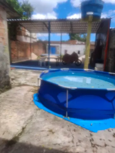 Vendo