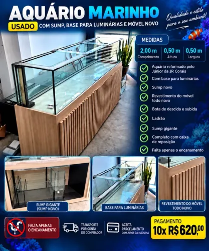 Aquário marinho 