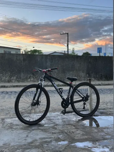 Bicicleta Absolute Aro 29