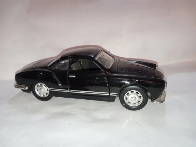 Miniatura karmanguia 