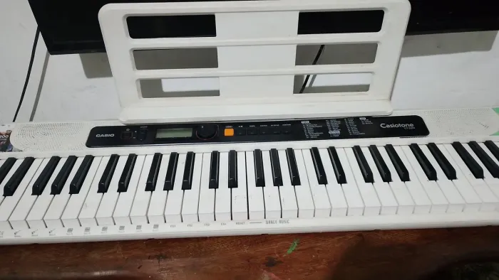 Teclado musical casio