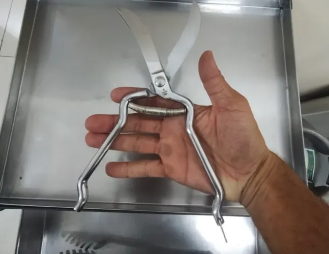 Tesoura Trinchar Frango Aço Inox 25 cm