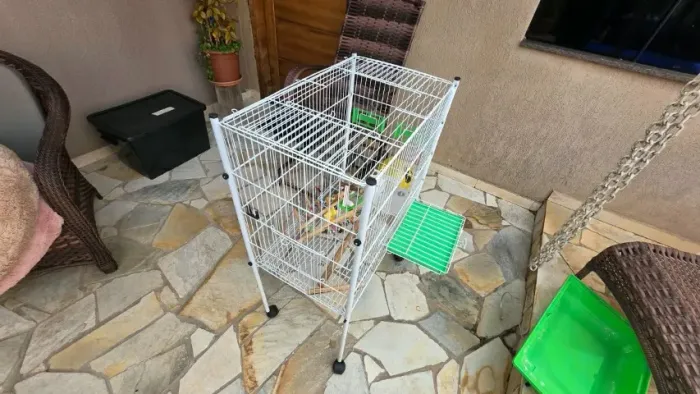 GAIOLA E BOLSA DE TRANSPORTE PARA CALIPSITA