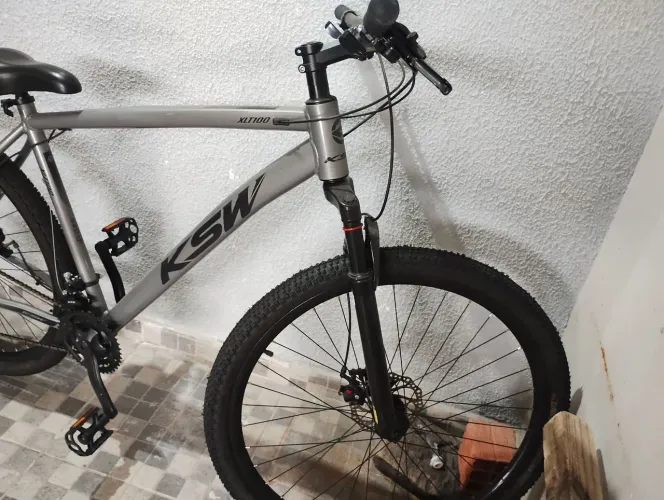 Bocicleta