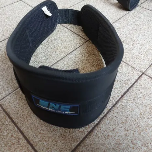Protetor de coluna exercícios